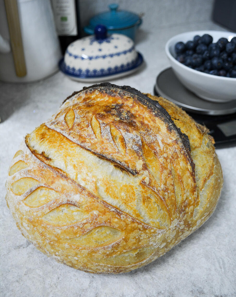 Organic Sourdough Loaf Organic Sourdough Loaf
